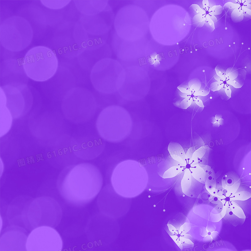 梦幻紫色花朵背景
