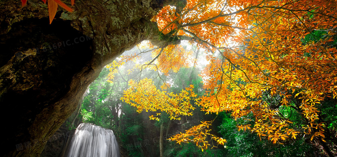 秋季树林瀑布背景