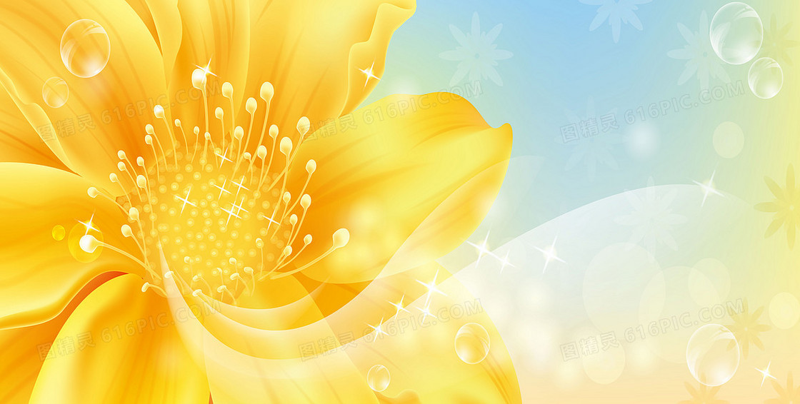 黄色太阳花光晕美容海报背景素材