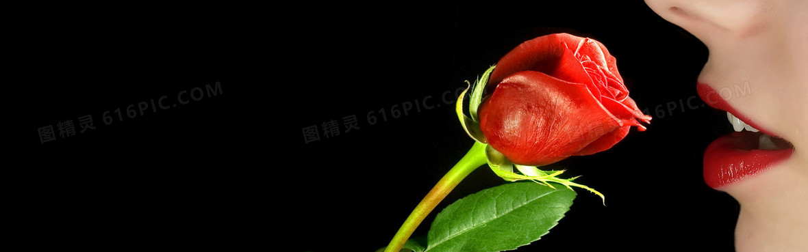 分享者:王思齐     关键词:       美女玫瑰背景彩妆红唇摄影海报
