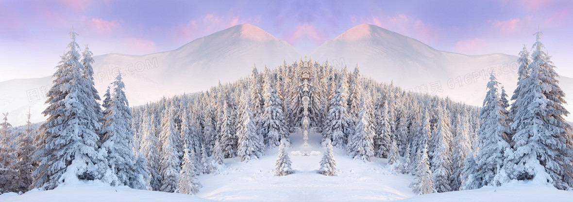 动漫冬季雪景松林背景banner