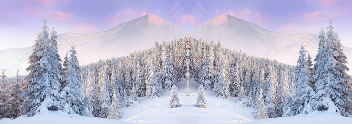 动漫冬季雪景松林背景banner