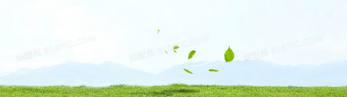 护肤清新背景banner