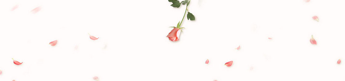 玫瑰花淘宝海报背景