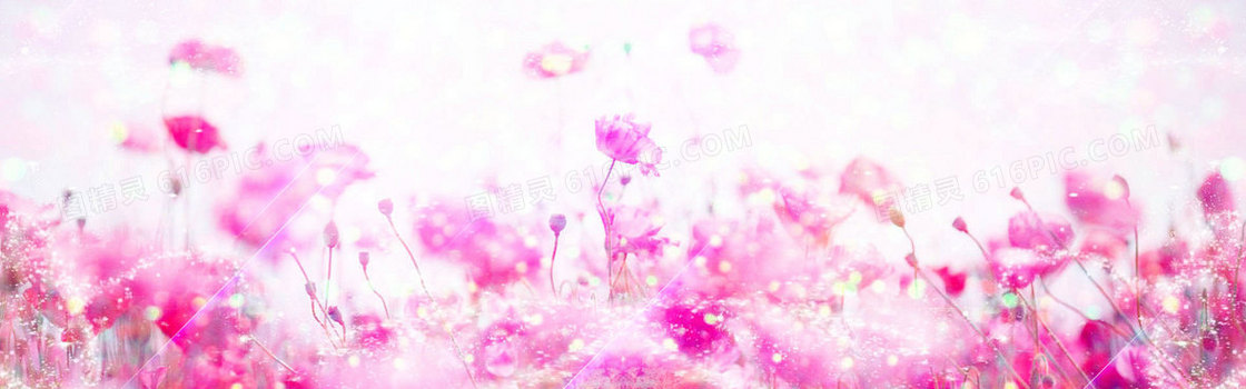 粉色淡雅花卉背景