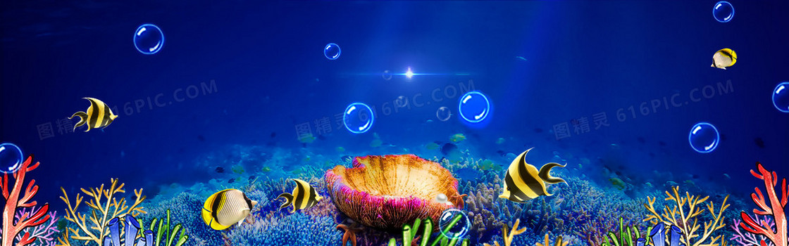 梦幻海底珊瑚背景