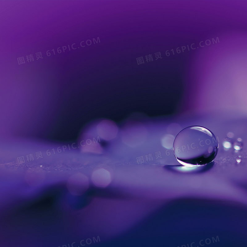 梦幻紫色露珠主图背景素材