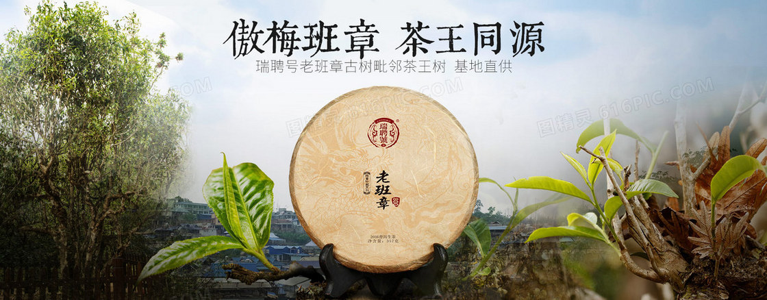 茶叶全屏促销海报背景