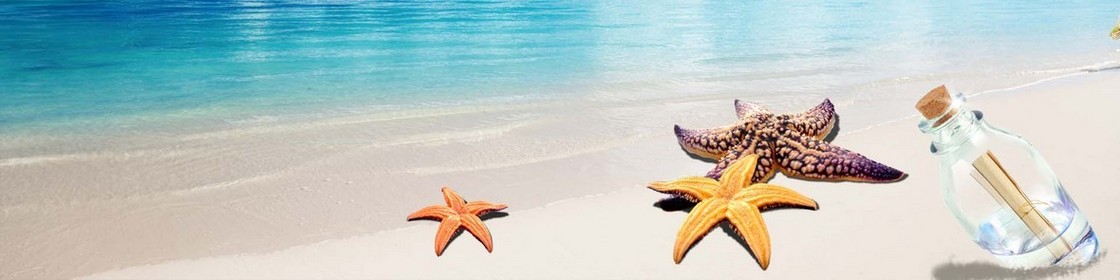 海滩风光海报背景banner