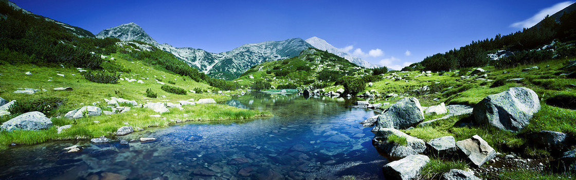 淘宝绿荫河流高山海报背景