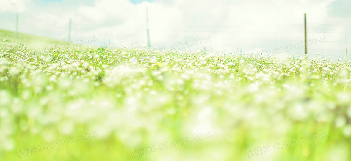 玫红小花背景