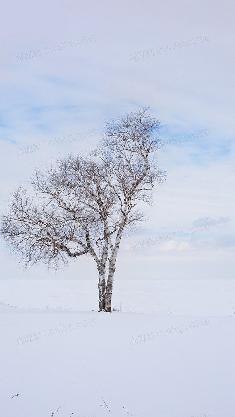 关键词:大雪银树雪景白色开心文艺小清新简约图精灵为您提供大雪银树