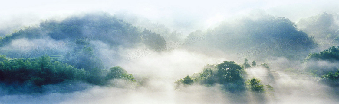 梦幻仙境茶叶banner