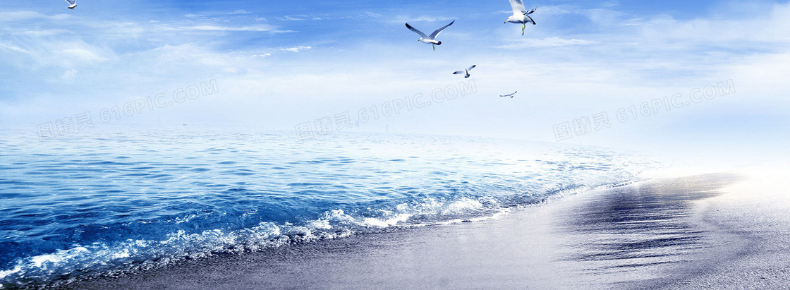 大气海天海鸥背景