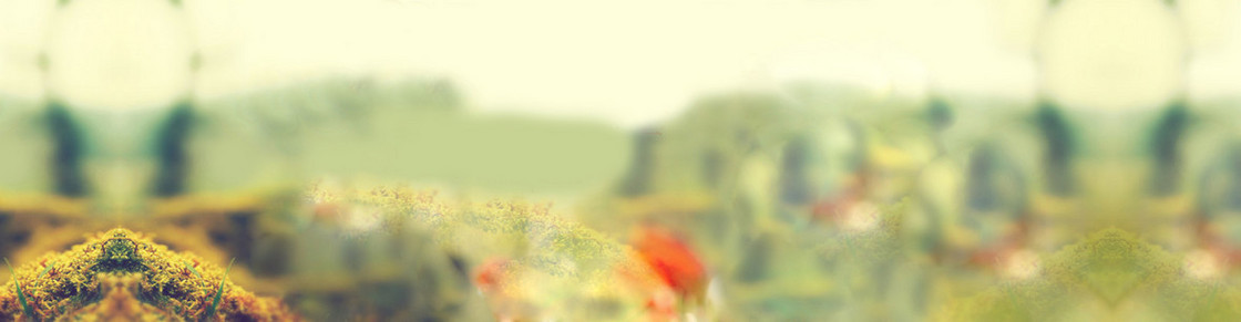 虚化秋冬服饰背景banner