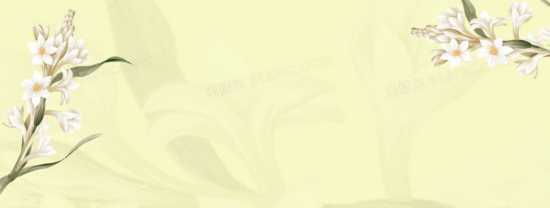 米黄色韩国手绘花纹banner背景