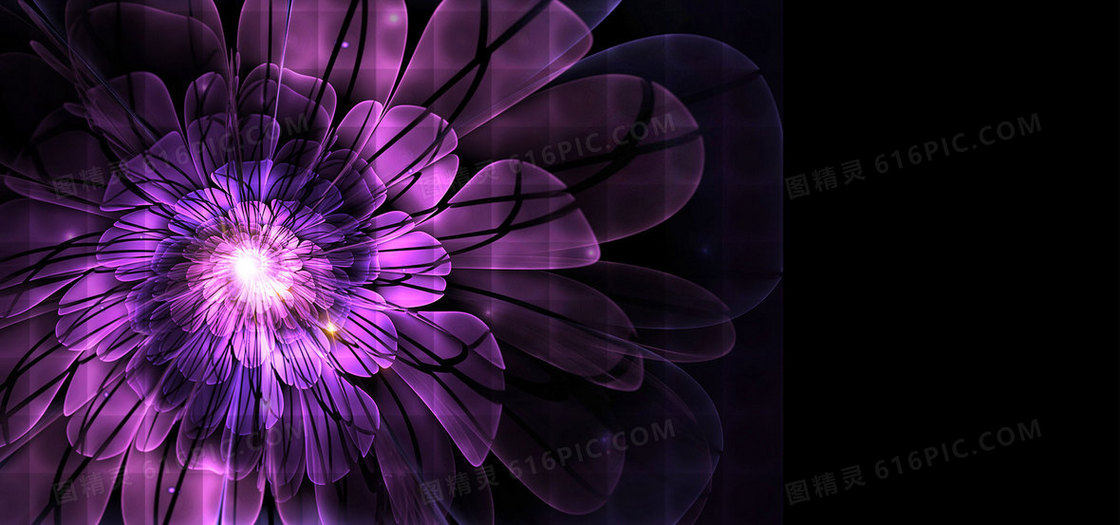 璀璨紫色花朵背景