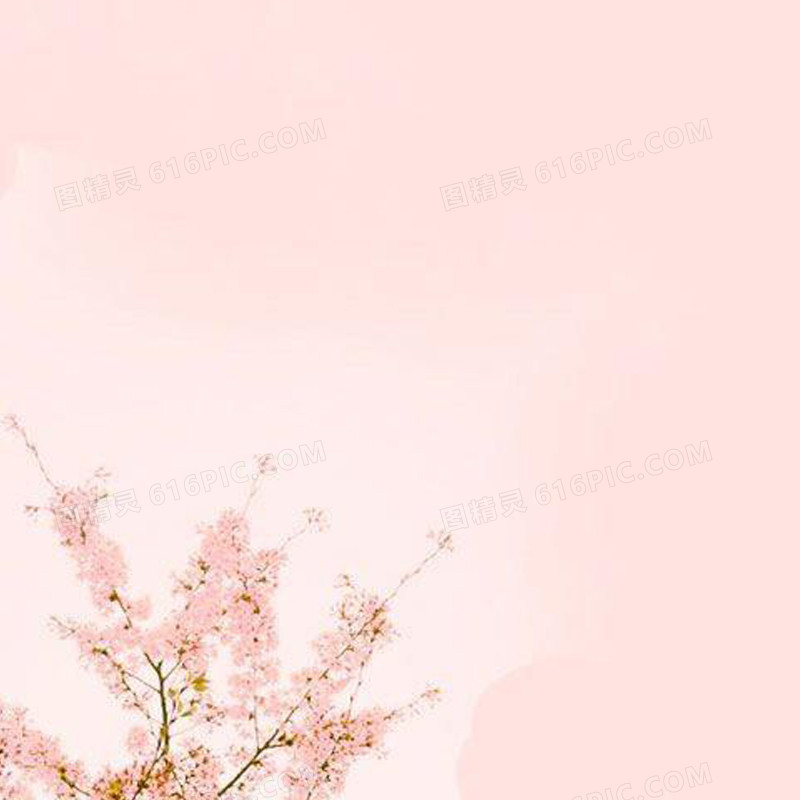 淡雅浅粉色花枝背景图