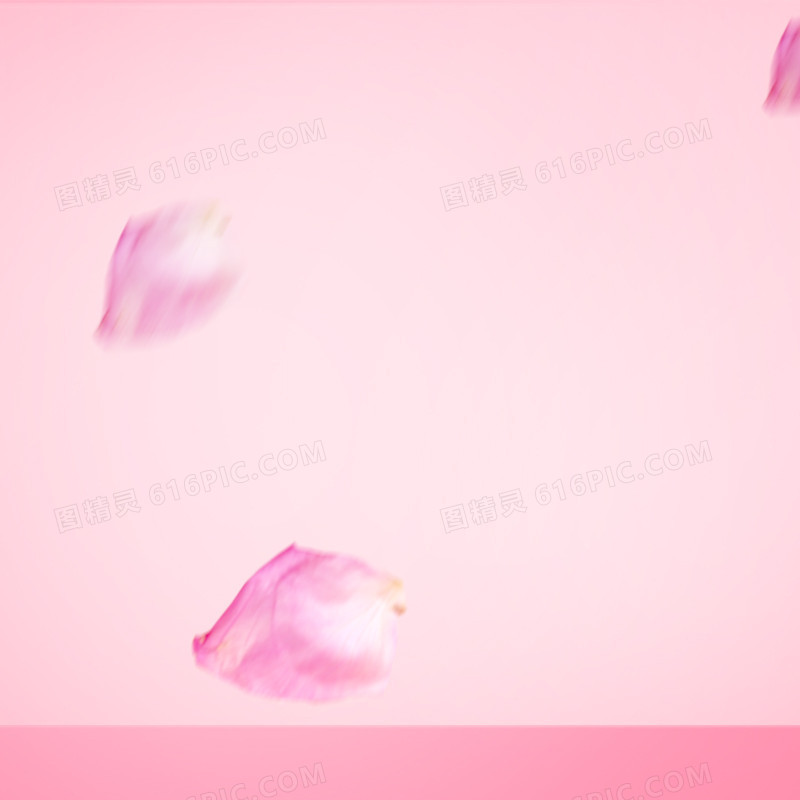 粉色花瓣主图
