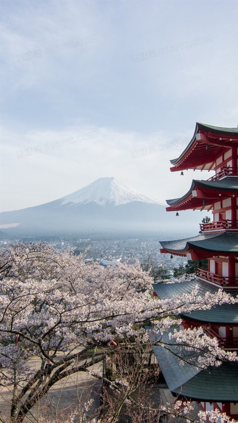 樱花富士山H5背景