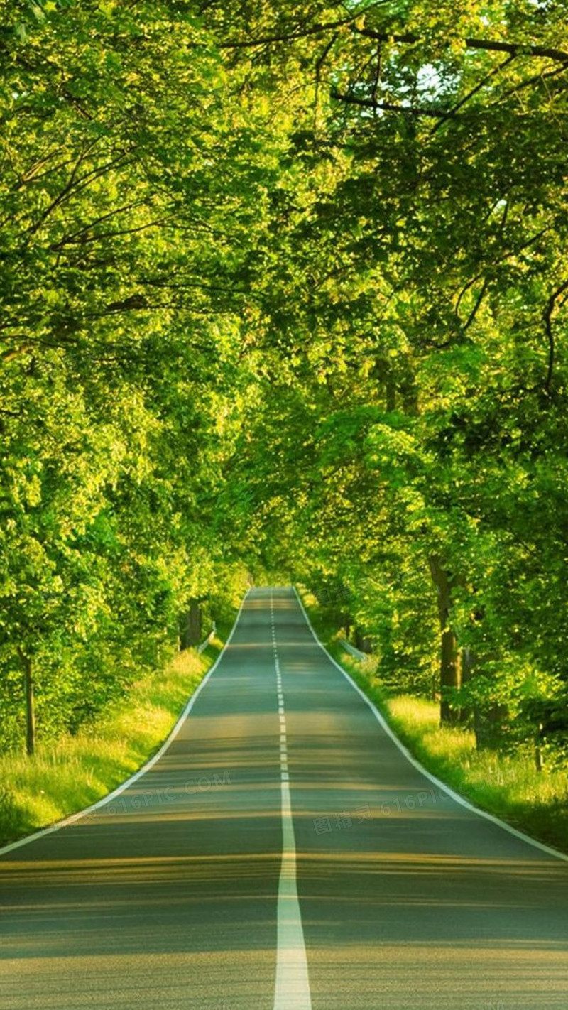 小清新公路绿植H5背景
