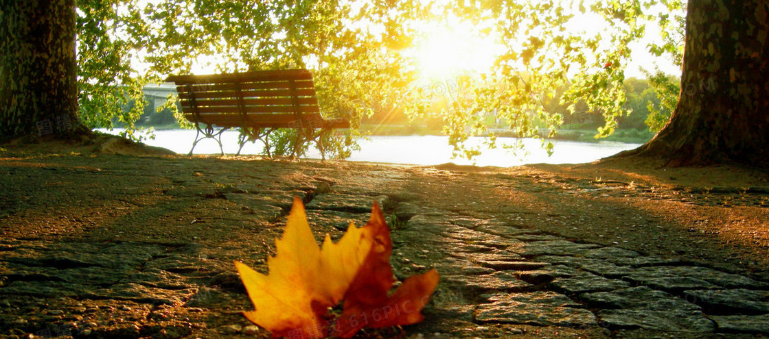 秋季枫叶小路长椅背景