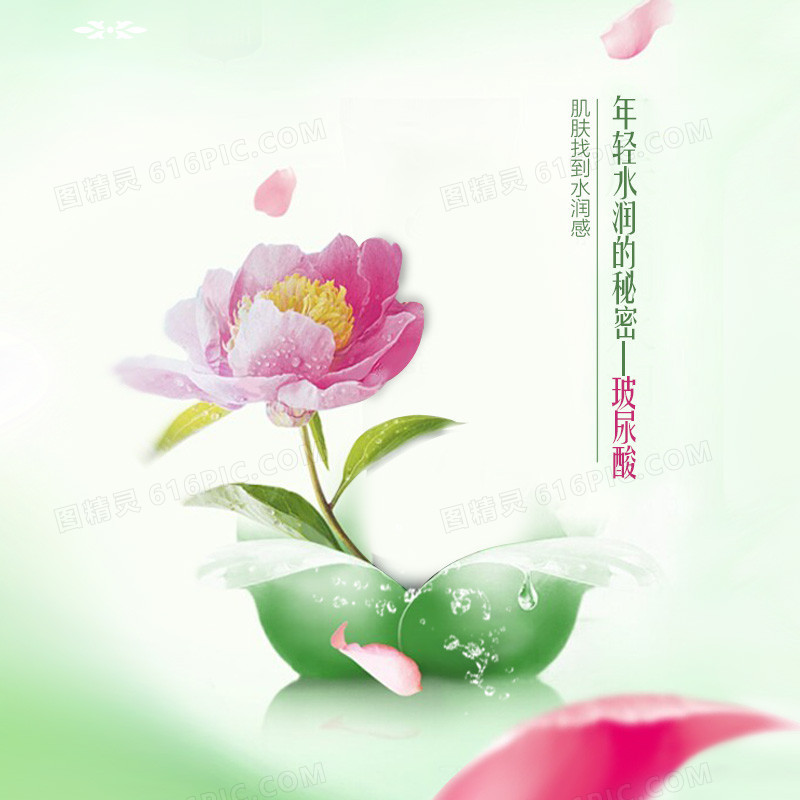 简约小清新