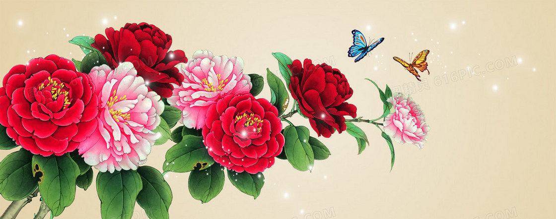 牡丹花背景