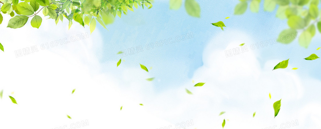绿色小清新背景