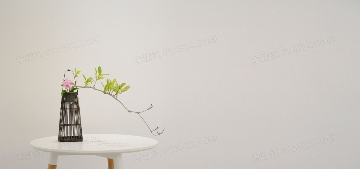 花瓶摄影背景banner