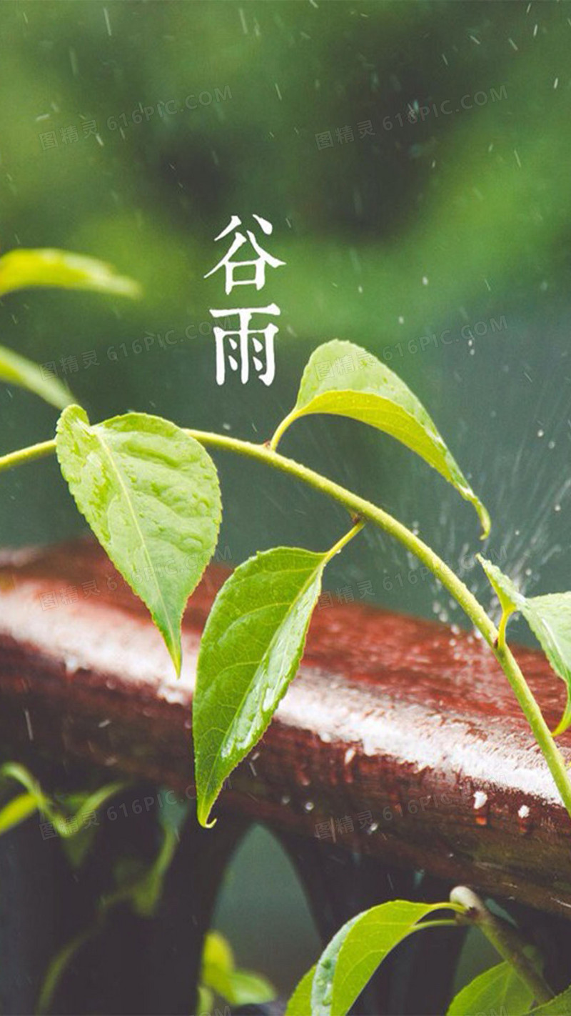 谷雨节气h5素材背景