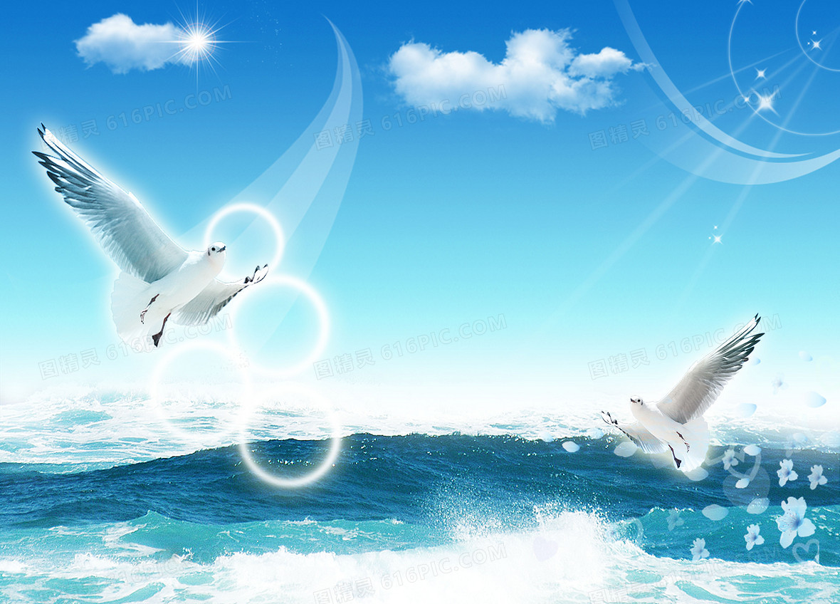 蓝天白云海鸟图 分享者:柒锦     关键词:       海上飞鸟海鸥大海