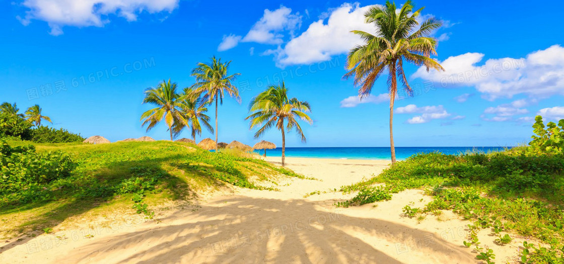 海边沙滩椰树背景