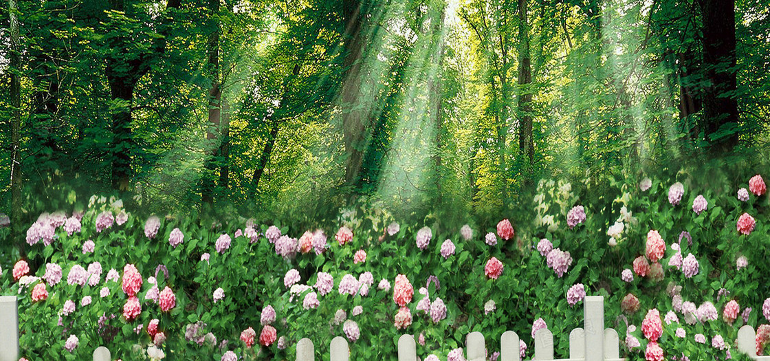 森林花园