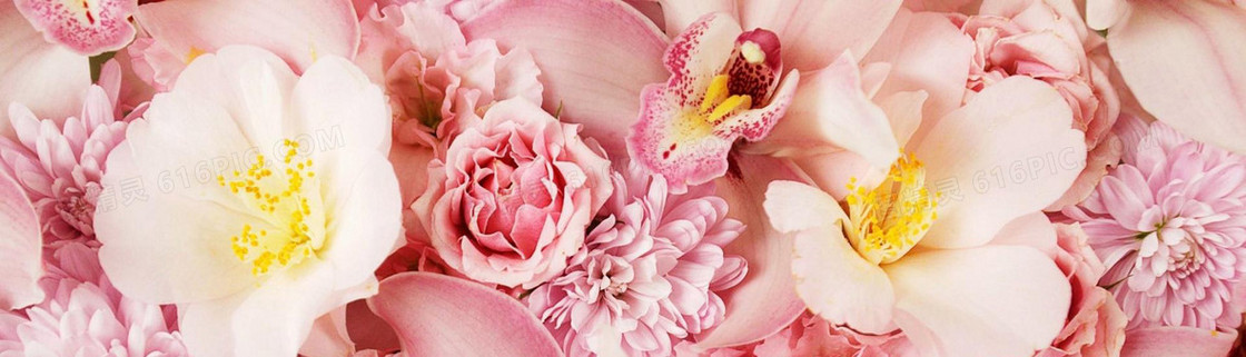 花卉 粉色 鲜花 花卉 浪漫 美丽 植物  梦幻
