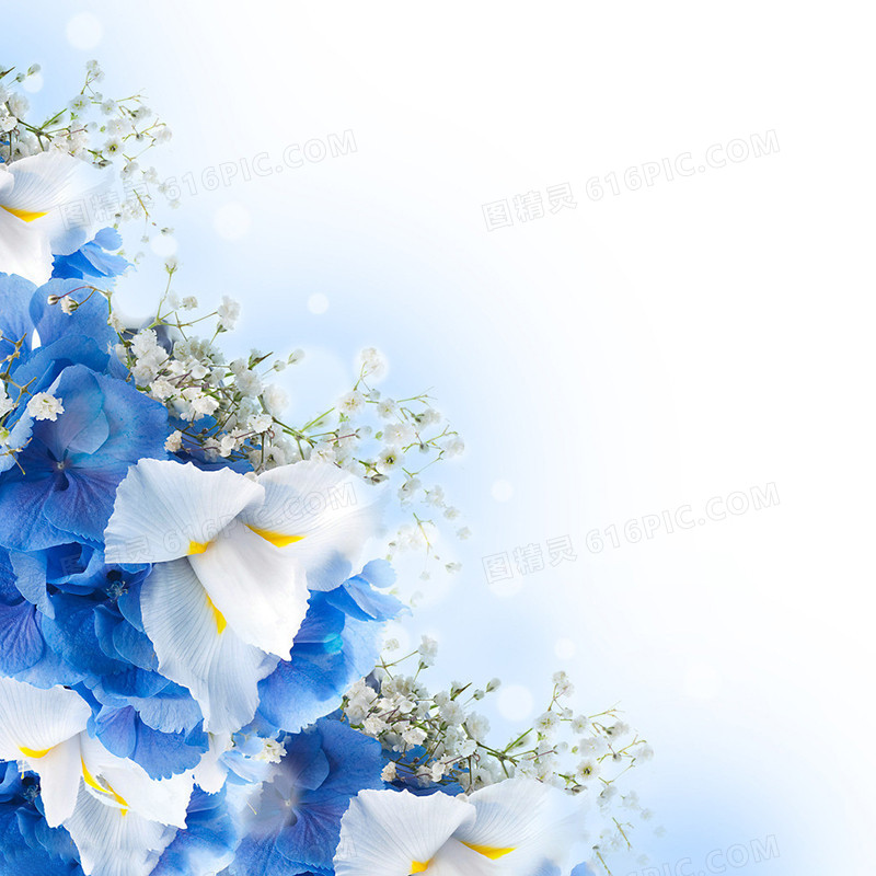 蓝色唯美清新花朵背景