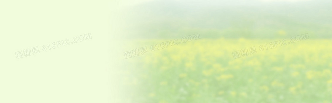 绿色 唯美景色背景