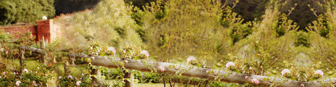 婚纱背景banner