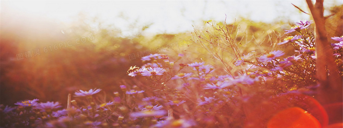唯品 淘宝banner