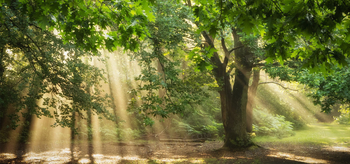 摄影系列背景