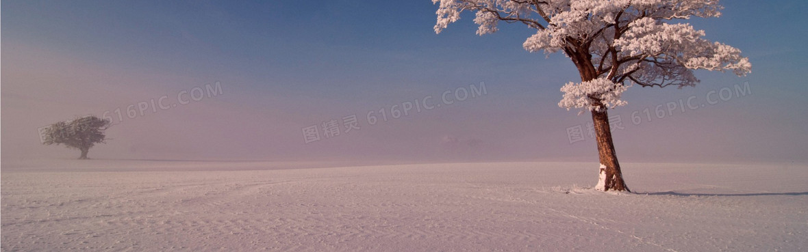 雪地背景