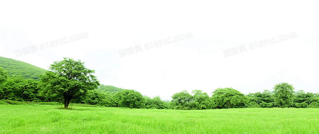 青山背景