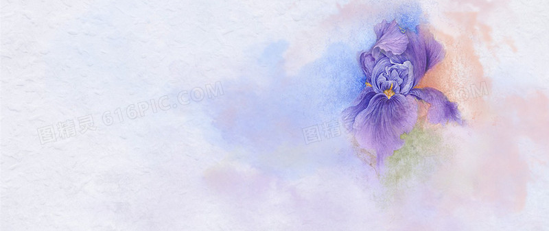 紫色手绘花朵背景