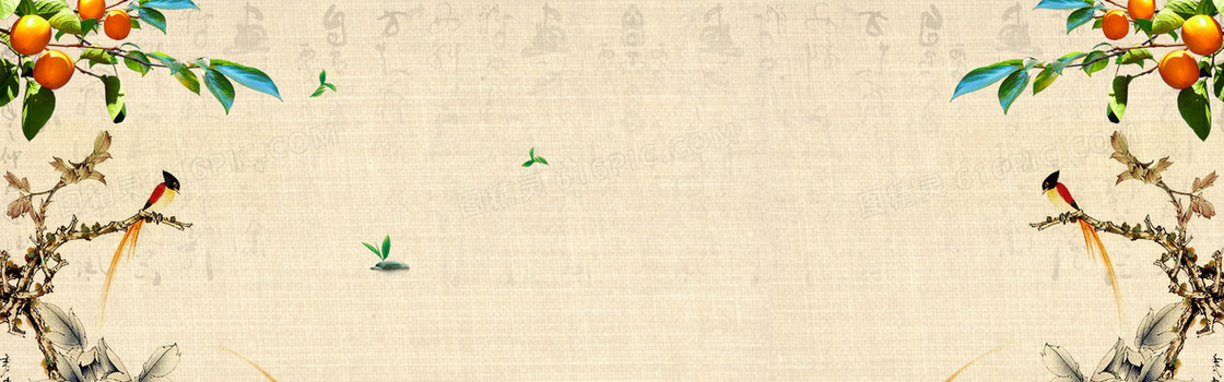 中式花鸟唯美背景banner