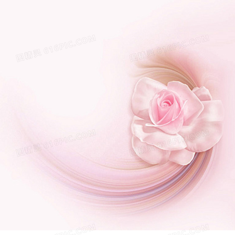 梦幻粉色玫瑰花背景图