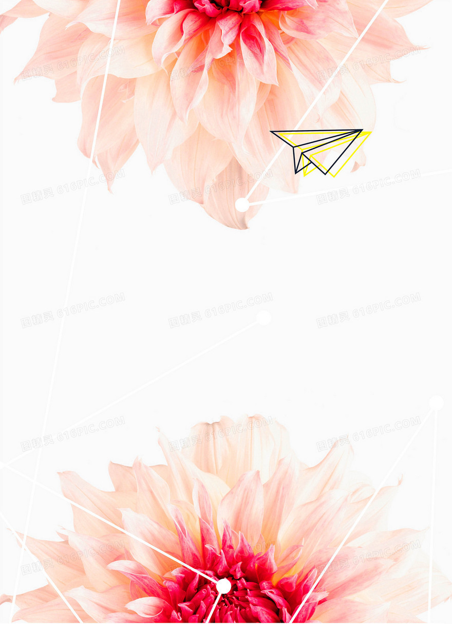 鲜花唯美背景