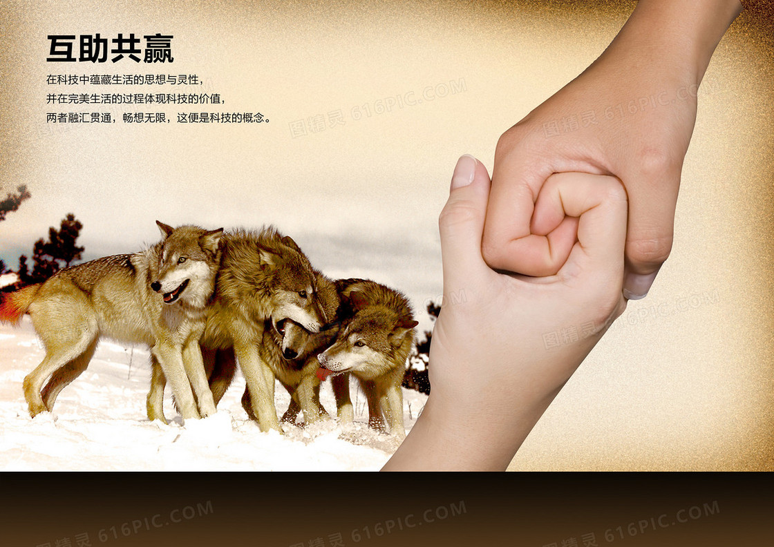 团队精神