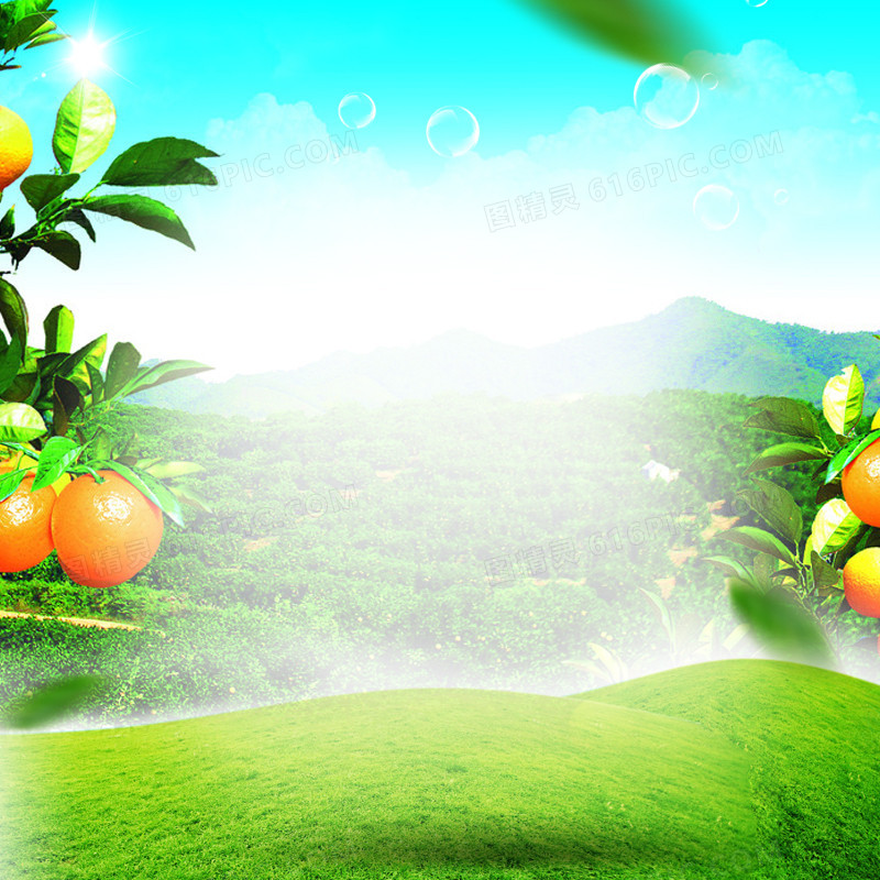 草地风景水果橙子PSD分层主图背景素材