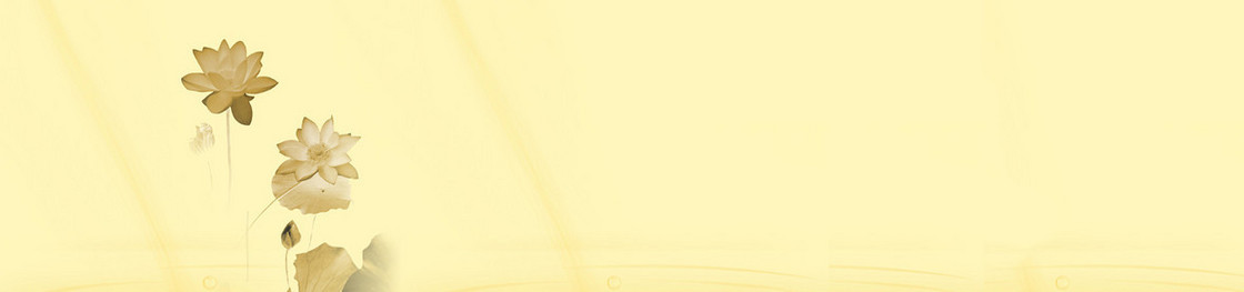 黄色 荷叶背景banner
