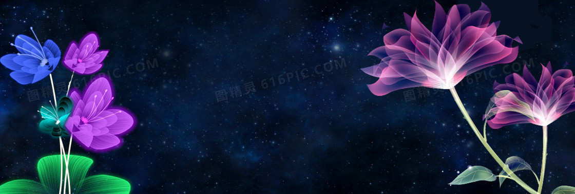 紫色莲花星空背景banner